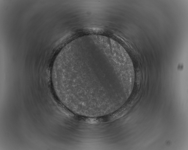 X0000094440613200712061139