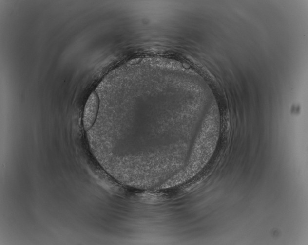 X0000094440615200712061139