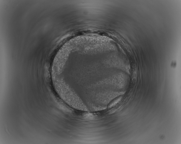 X0000094440616200712061139