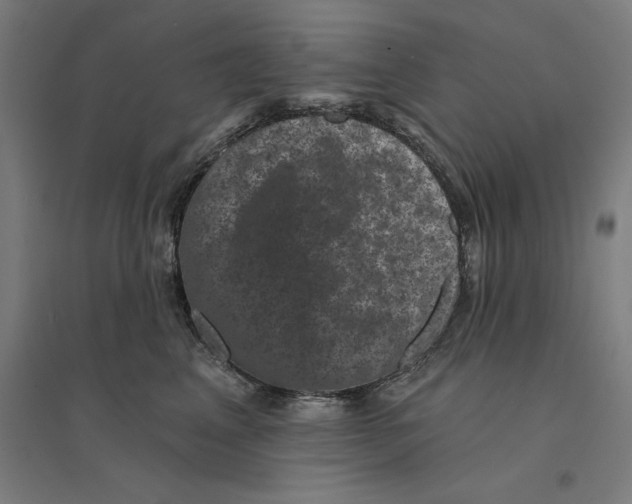 X0000094440617200712061139