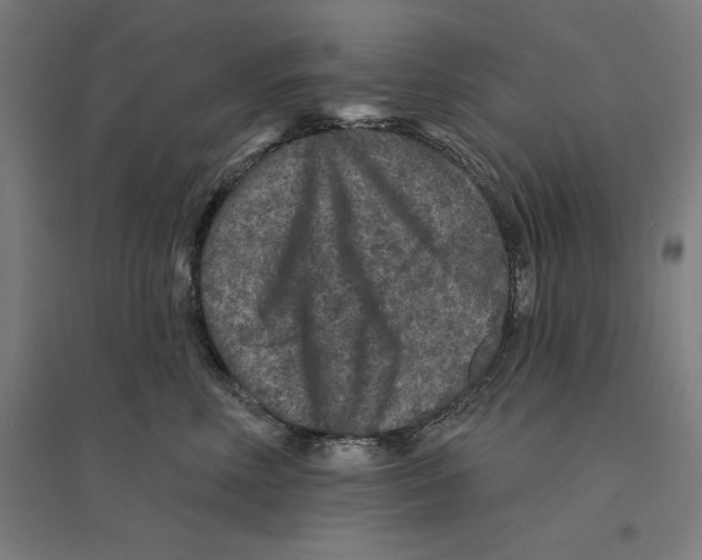 X0000094440618200712061139