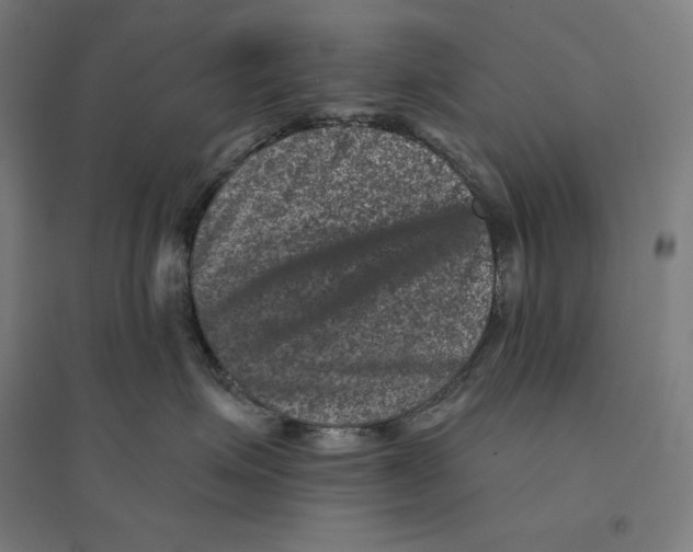 X0000094440623200712061139