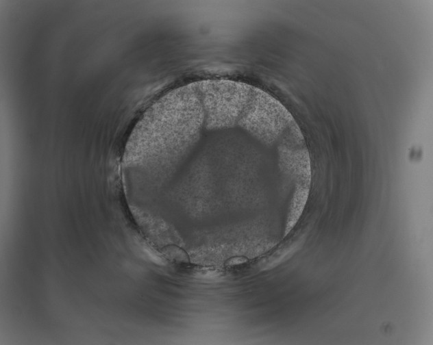 X0000094440624200712061139