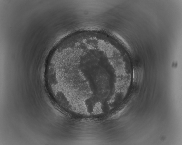 X0000094440627200712061138