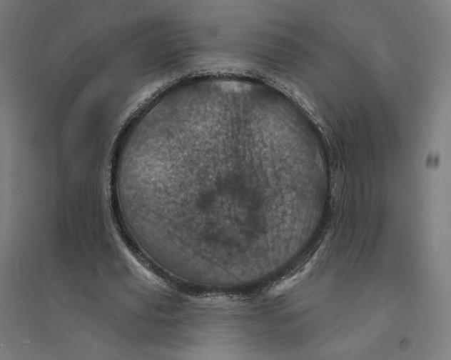 X0000094440629200712061138