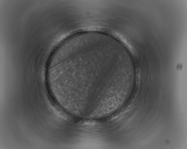 X0000094440631200712061138