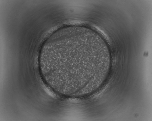 X0000094440633200712061138