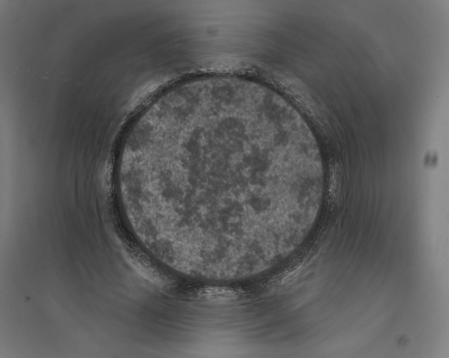 X0000094440636200712061138