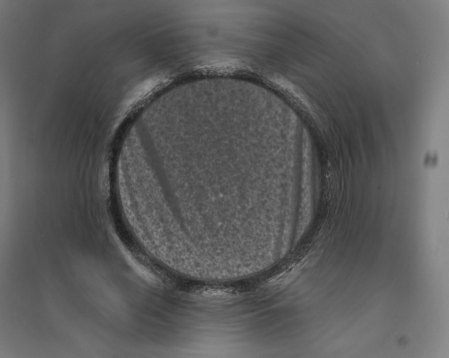 X0000094440638200712061138