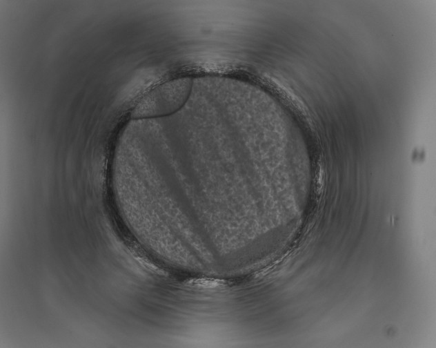 X0000094440639200712061138