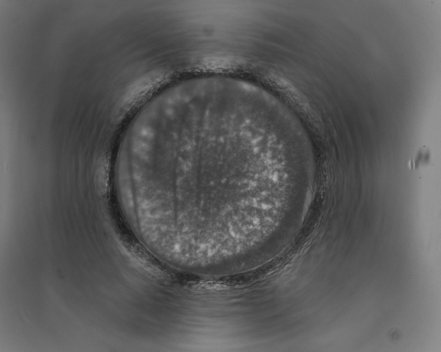 X0000094440640200712061138