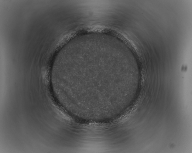 X0000094440641200712061138