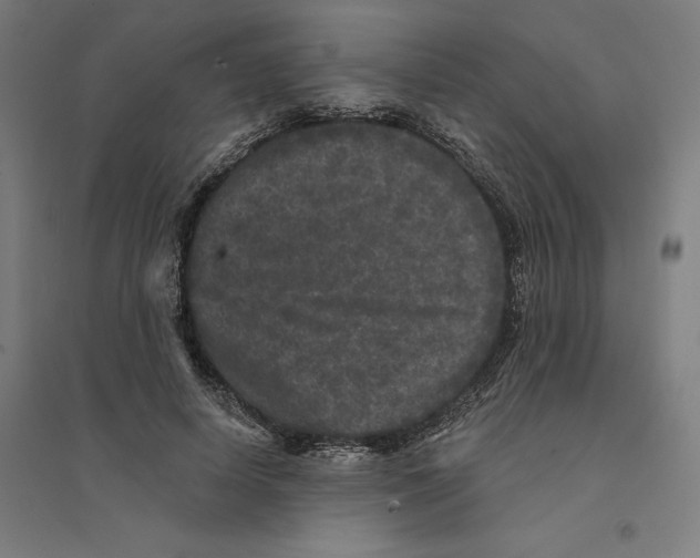 X0000094440642200712061138