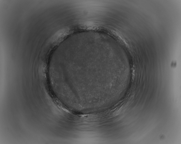 X0000094440643200712061138