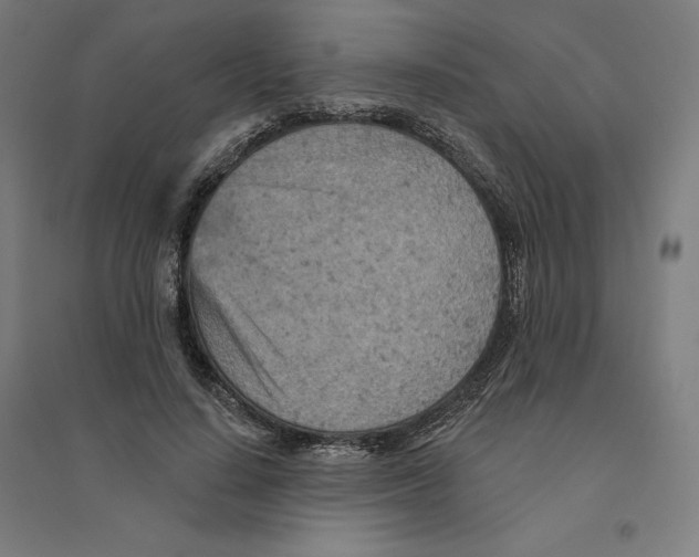 X0000094440644200712061138