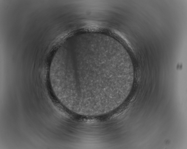 X0000094440645200712061138