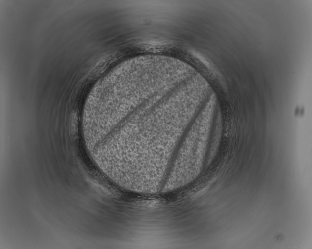 X0000094440646200712061138