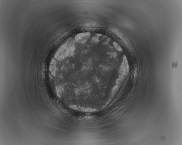 X0000094440647200712061138