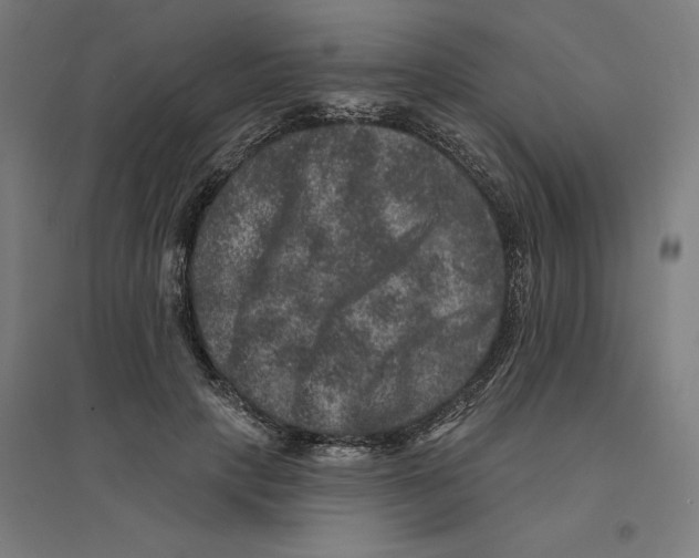 X0000094440649200712061139