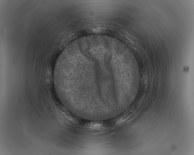 X0000094440651200712061139