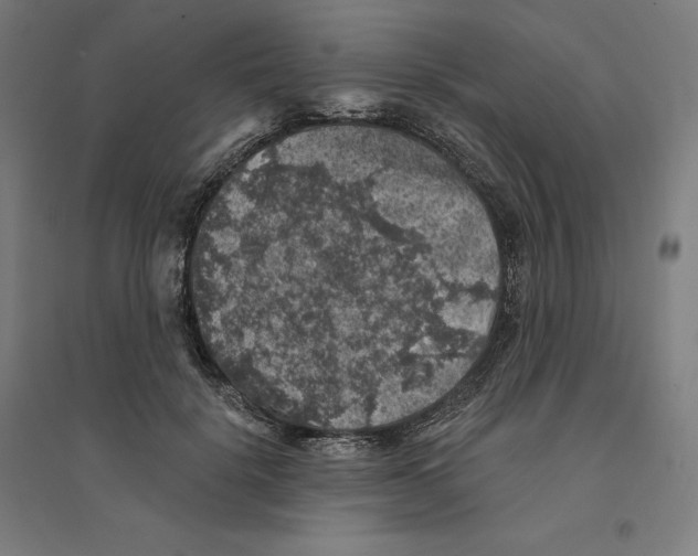 X0000094440652200712061139