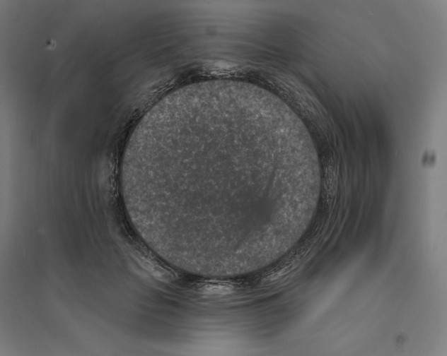 X0000094440653200712061139