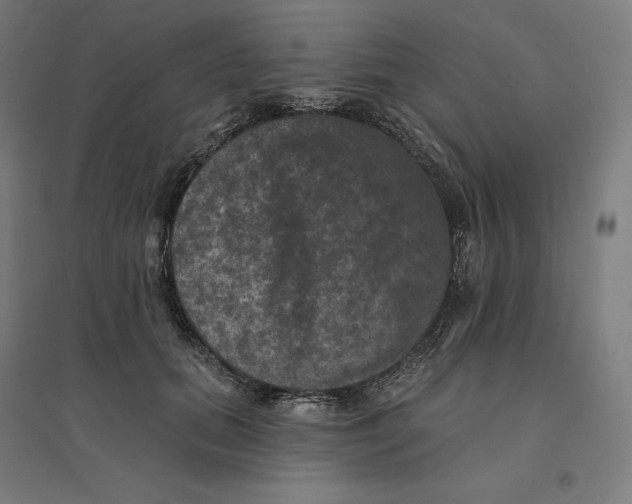 X0000094440655200712061139