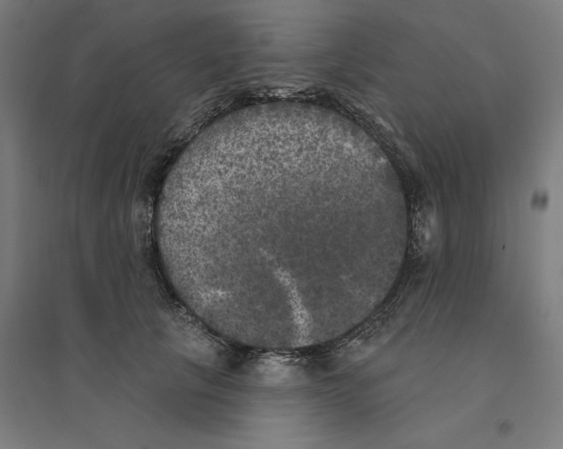 X0000094440657200712061139