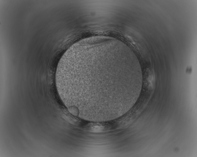 X0000094440658200712061139