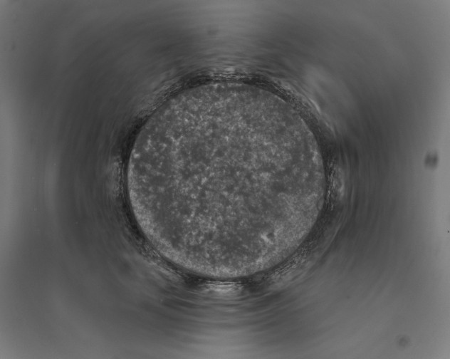 X0000094440659200712061139