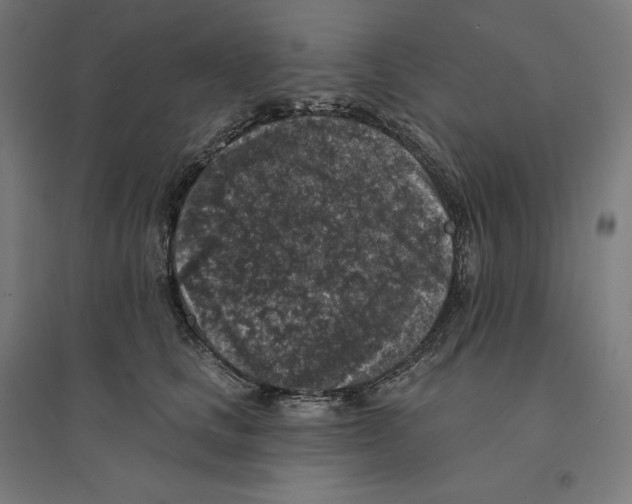 X0000094440661200712061139