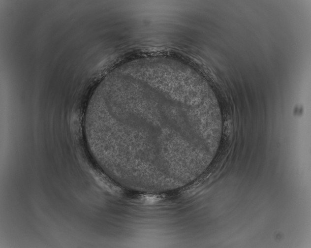 X0000094440662200712061139