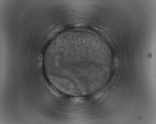 X0000094440664200712061139