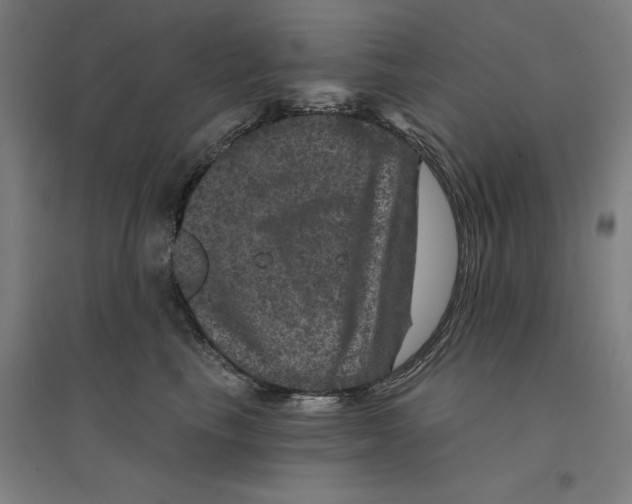 X0000094440665200712061139