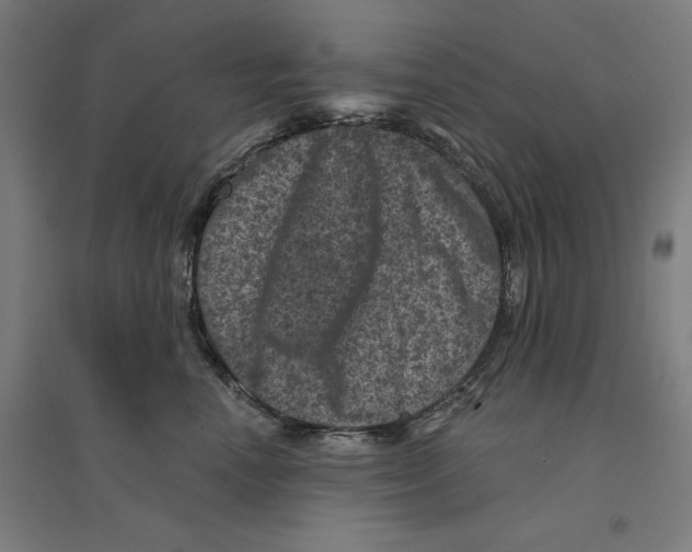 X0000094440666200712061139