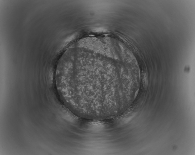 X0000094440668200712061139