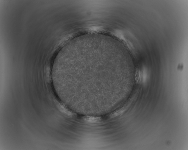 X0000094440670200712061139