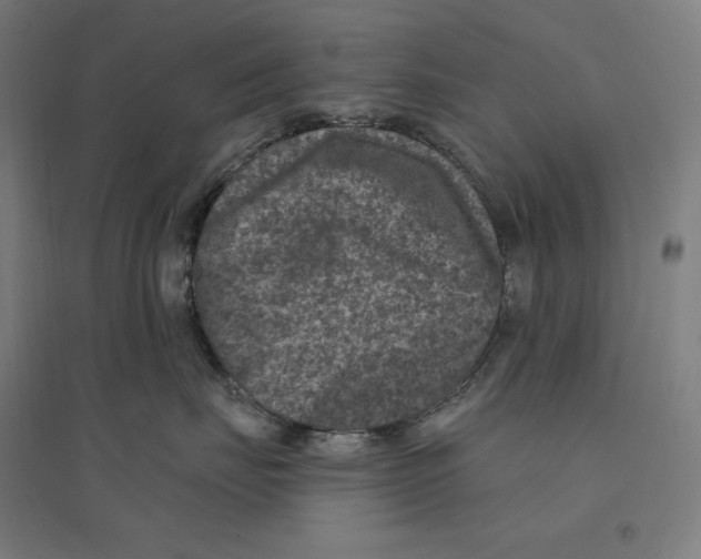 X0000094440671200712061139