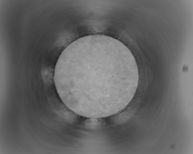 X0000094440672200712061139