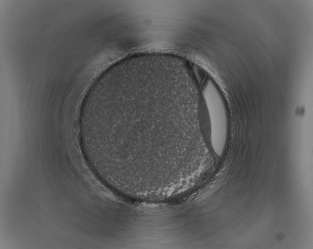 X0000094440673200712061138