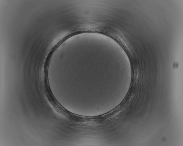 X0000094440674200712061138