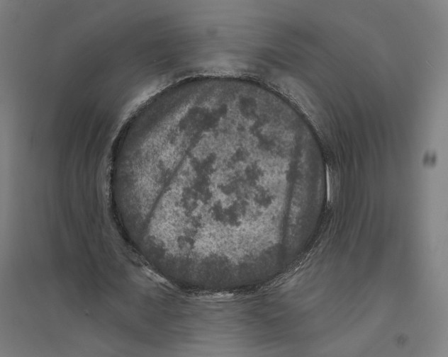 X0000094440675200712061138