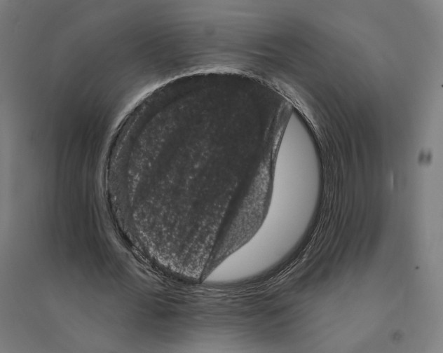 X0000094440676200712061138