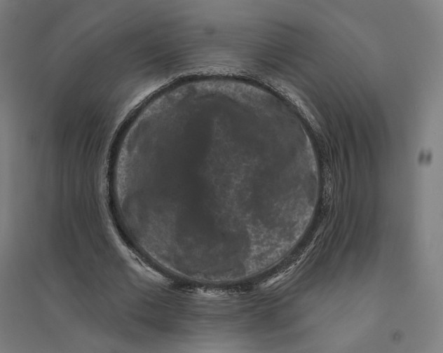 X0000094440677200712061138