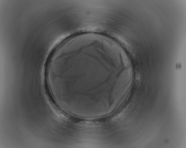 X0000094440678200712061138