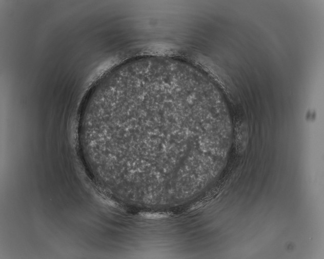 X0000094440679200712061138