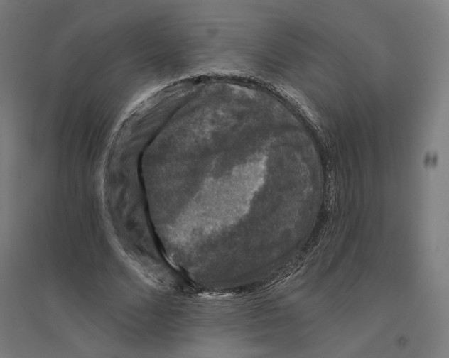 X0000094440680200712061138