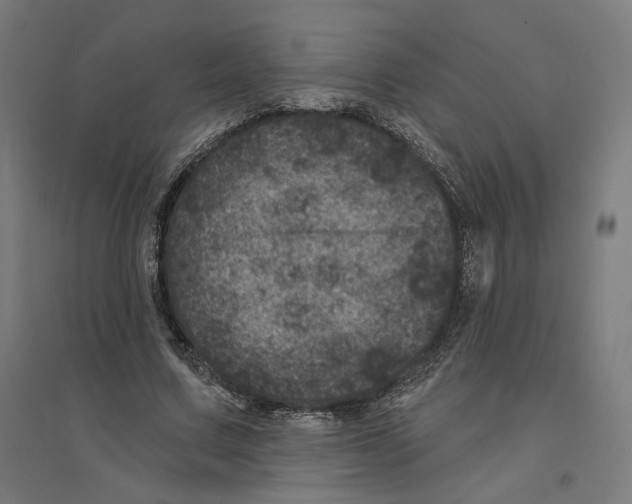 X0000094440683200712061138