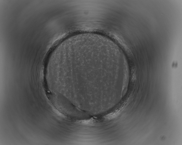 X0000094440685200712061138