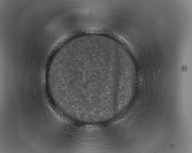 X0000094440686200712061138